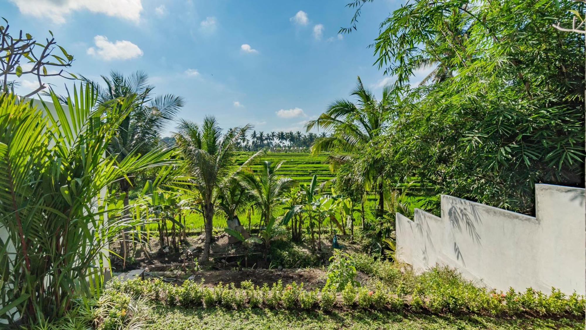 Villa Padi Luwih Ubud Exterior foto