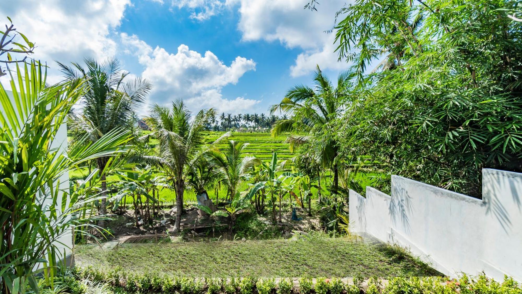 Villa Padi Luwih Ubud Exterior foto